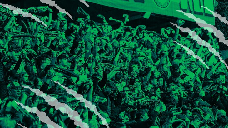 Fans des VfL-Wolfsburg stehen auf der Tribüne.