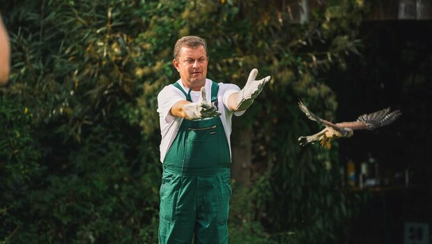 VfL Wolfsburg Mitarbeiter packen bei der Gartenarbeit an am "Wir-für euch"-Tag.