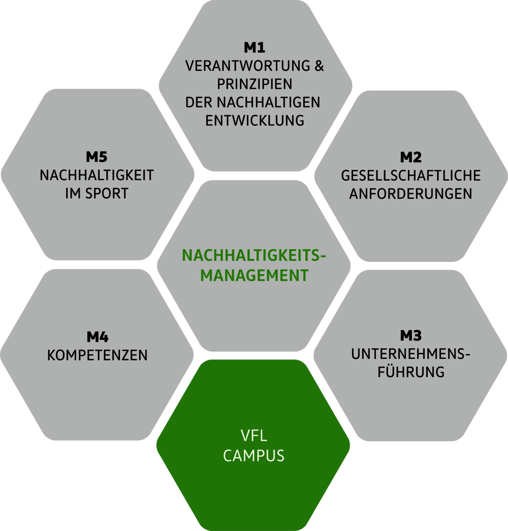 Die Grafik des Nachhaltigkeitsmanagement beim VfL mit sechs verschiedenen Dimensionen.