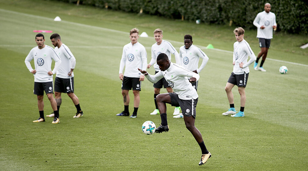 Die Wölfe im Trainingslager.