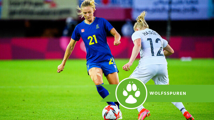Wolfsspuren des VfL-Wolfsburg.