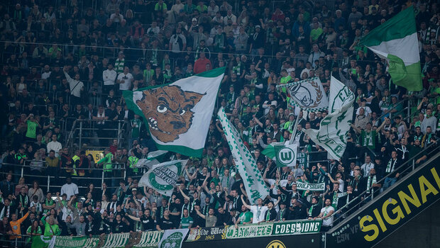 VfL Wolfsburg Fans schwenken Fahnen im Gästeblock in Dortmund.