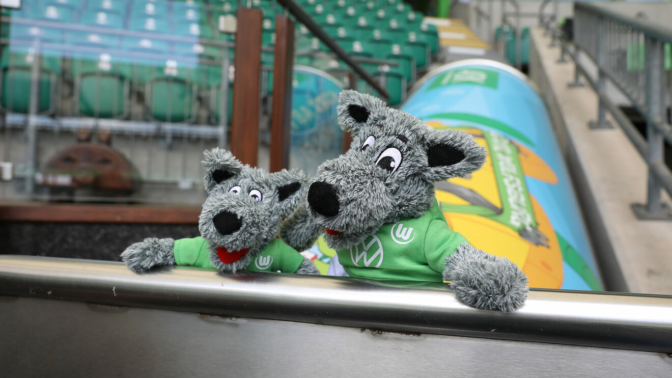 Zwei Wölfi Kuscheltiere des VfL Wolfsburg. Zwei Wölfi Kuscheltiere des VfL Wolfsburg.