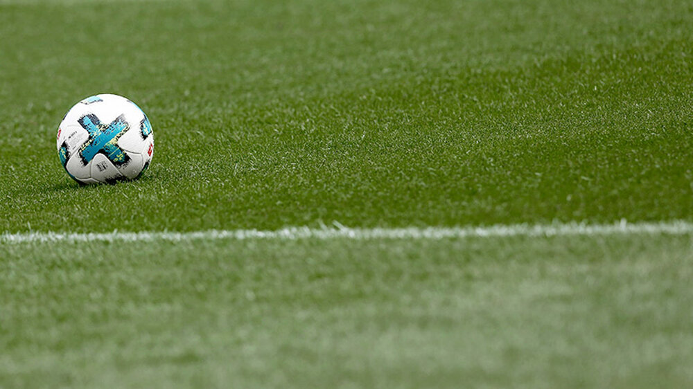 Der Spielball des VfL Wolfsburg liegt auf dem Rasen.