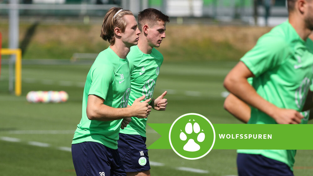 Eine Grafik mit VfL Wolfsburg-Spieler Patrick Wimmer und der Grafik einer Wolfspfote.