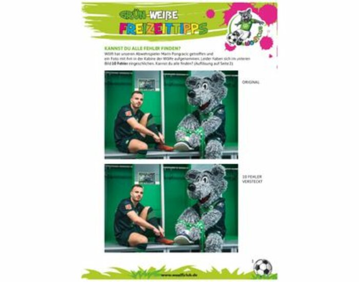 Ein Fehlerbild mit Wölfi vom VfL Wolfsburg.