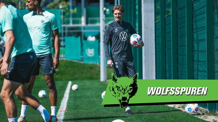 Eine VfL-Wolfsburg-Grafik mit Scott Waters.