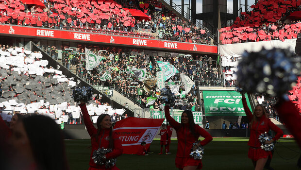 Fans des VfL Wolfsburg jubeln im Fanblock beim Spiel VfL Wolfsburg gegen den 1. FC Köln.