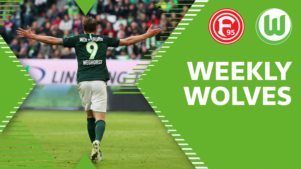Wout Weghorst in der Graphik zum Weekly Wolves vor Düsseldorf.