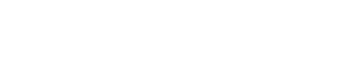 Das Logo des VfL-Wolfsburg-StrongHER-Partners Fundación Sesé.