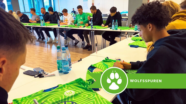 VfL-Wolfsburg-Grafik zu den Wolfsspuren mit den Wölfen, die an einem Tisch sitzen und Trikots unterschreiben.