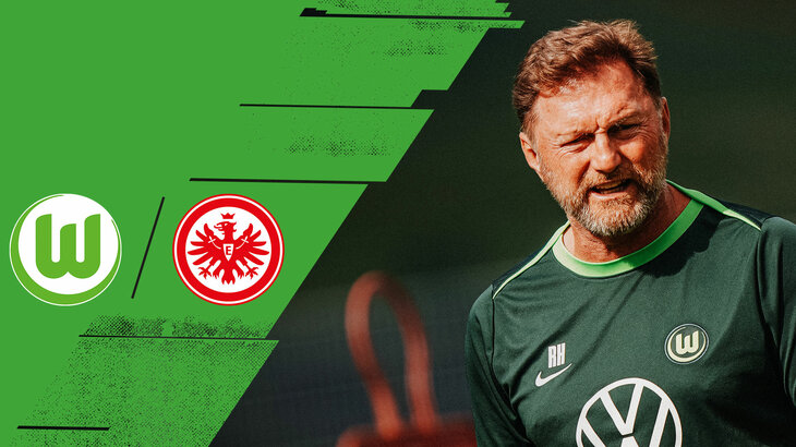Eine VfL-Wolfsburg-Grafik mit Ralph Hasenhüttl und den Logos vom VfL und Frankfurt.
