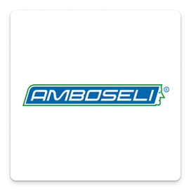 Logo von Amboseli.
