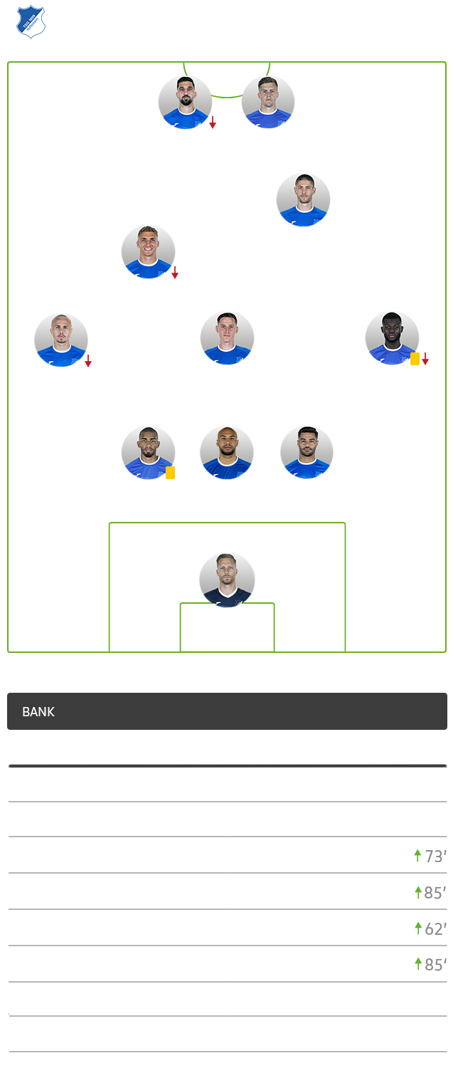 Die taktische Formation von Hoffenheim im Spiel gegen den VfL Wolfsburg im 3-3-2-2 System.