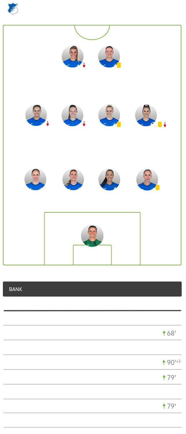 Die taktische Aufstellung vom Hoffenheim gegen den VfL Wolfsburg.