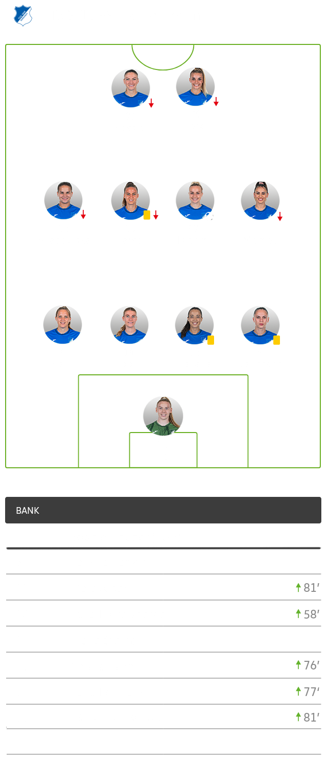 Die takische Aufstellung des TSG Hoffenheim.